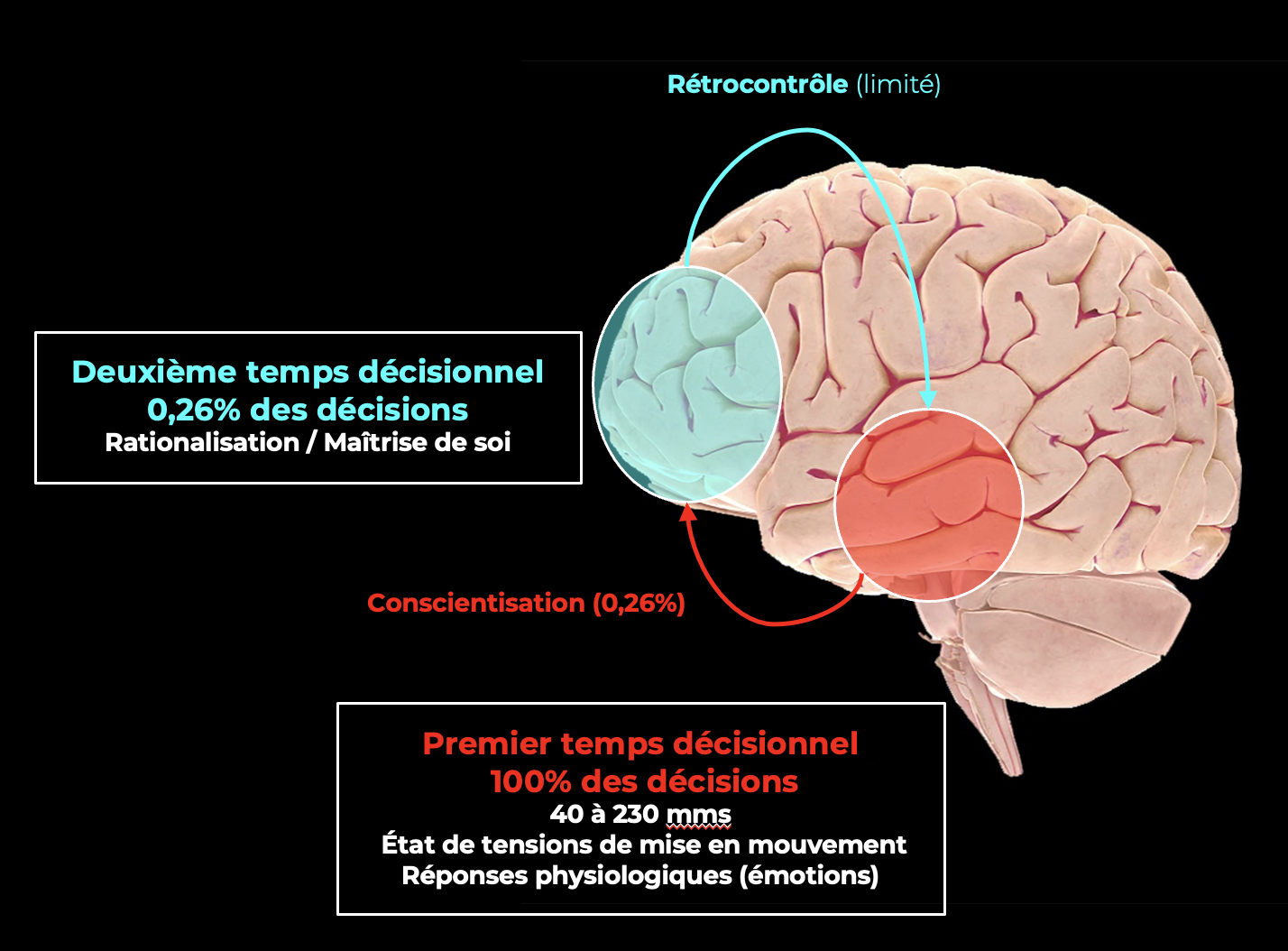 brain-modus-operandi-decisions-inconscientes